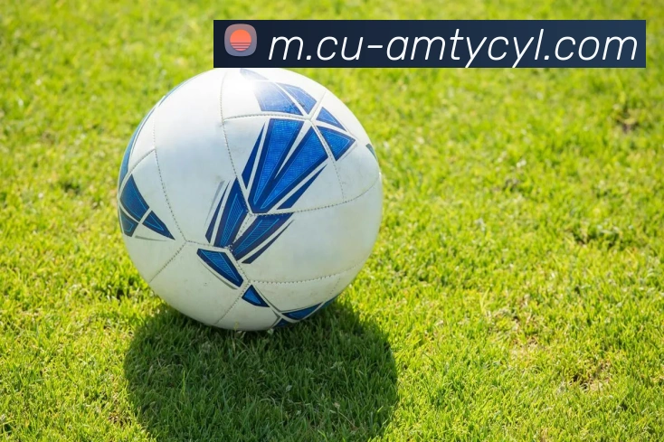 太阳城网站发展历程